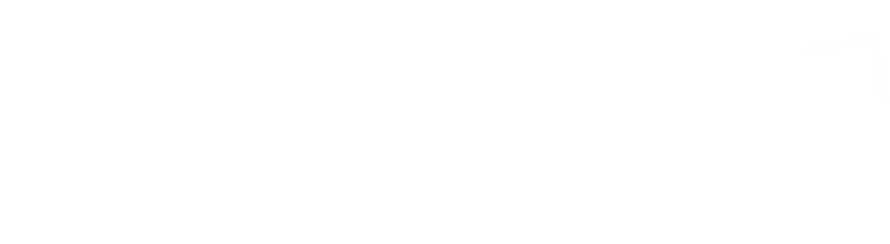 Logo da NEC MG
